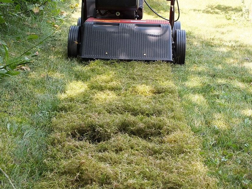Jak se zbavit drnu v trávníku?
