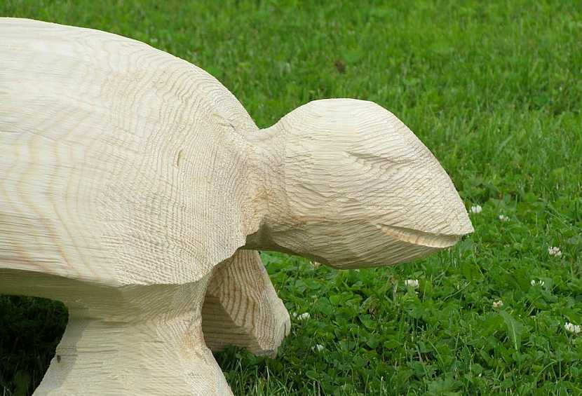 Socha ze dřeva: želva