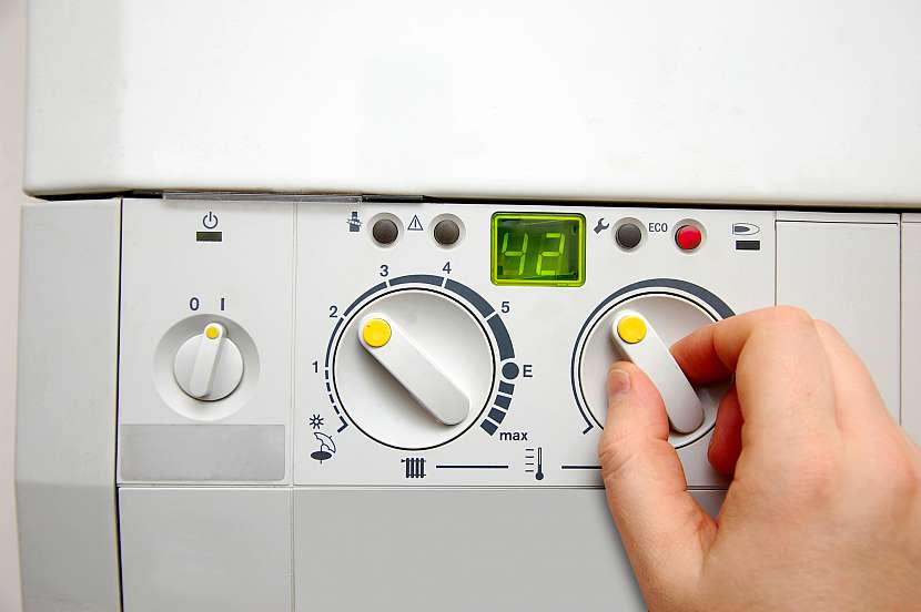 Panel
