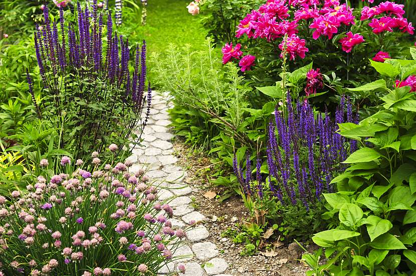 S trvalkami lze dělat pravé divy, takže vaše zahrada bude plná krásných kvetoucích zákoutí (Zdroj: Depositphotos (https://cz.depositphotos.com))