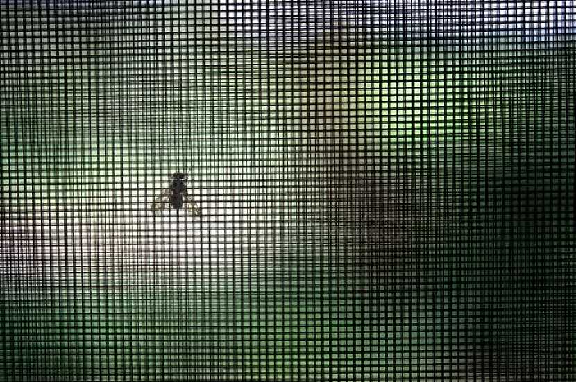 Okenní sítě spolehlivě zastaví velké procento nezvaného hmyzu