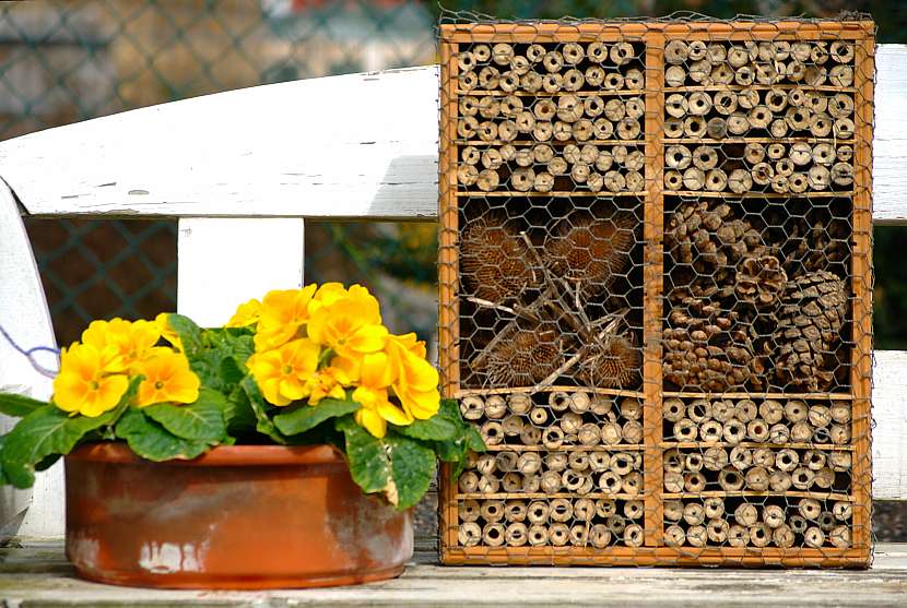 Hmyzí hotel můžete naplnit i šiškami a suchými květy (Zdroj: Depositphotos)
