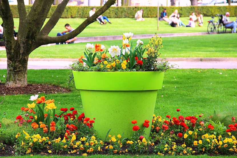 Chcete mít krásnou zahradu po celý rok tak, aby hrála všemi barvami? (Zdroj: Depositphotos)