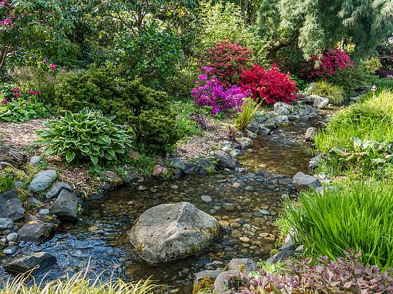 otevřít: Někdo má umělé zuby, někdo zas potok. Popusťte uzdu vaší fantazii, nebudete litovat!