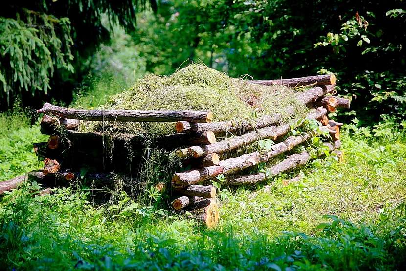 Udržitelné zahradničení – ten nejlepší nápad pro letošní rok