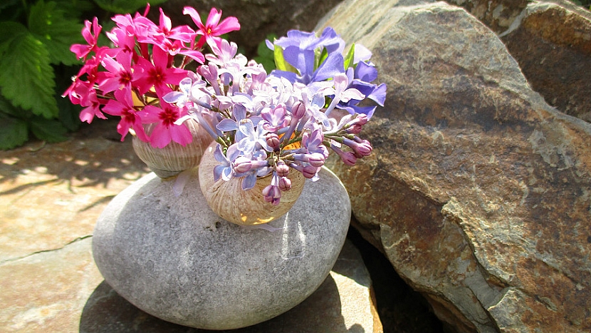 Ozdobený kámen ulitami s nádhernými květy (Zdroj: Kateřina Poslušná)