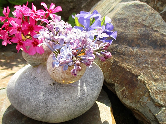 Ozdobený kámen ulitami s nádhernými květy (Zdroj: Kateřina Poslušná)