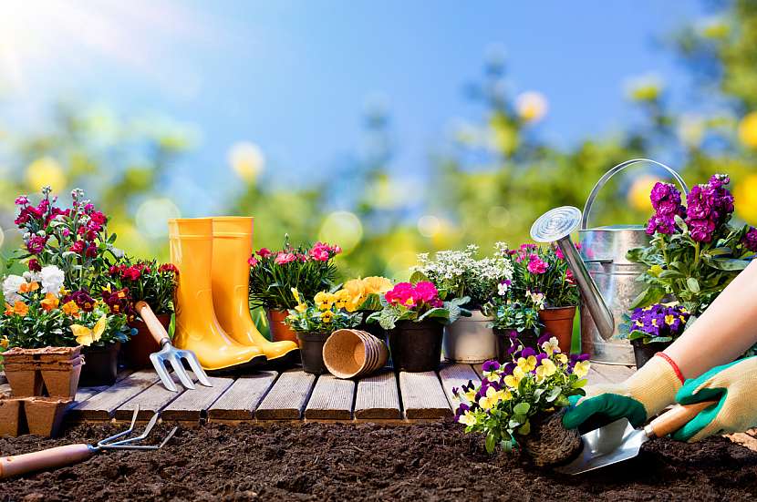 Příprava zahrady na jaro bez chyb? Ano, jde to (Zdroj: Robomow)