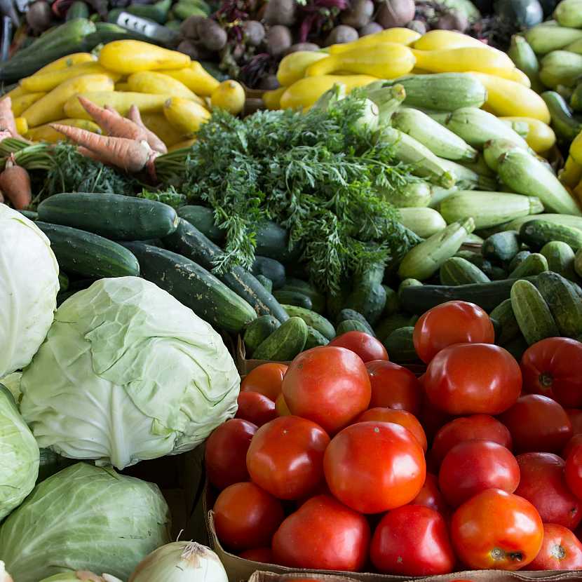 Se vzrůstajícími cenami zeleniny a ovoce určitě oceníte kousek vlastního políčka, kde můžete pěstovat své bio plodiny (Zdroj: Aspen.pr)