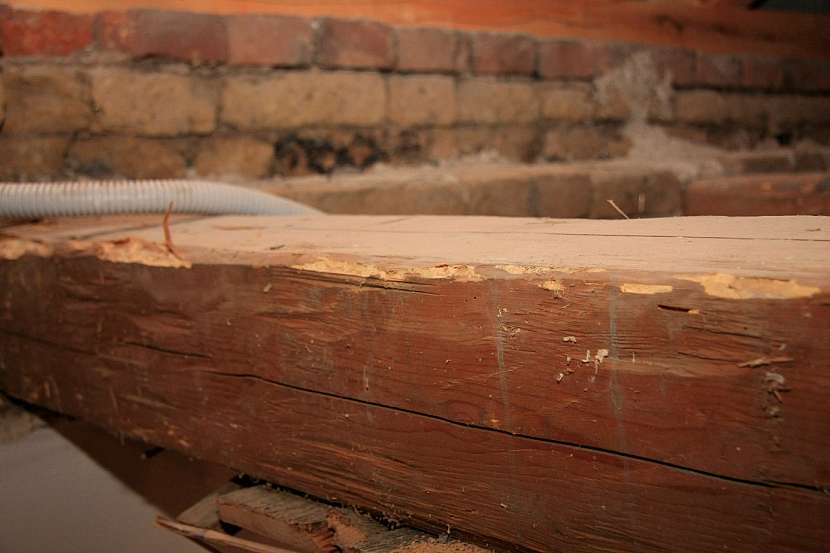 Staré trámy mohou být před rekonstrukcí poškozené dřevokazným hmyzem, neměly by být postižené hnilobou. Pak je náprava komplikovanější