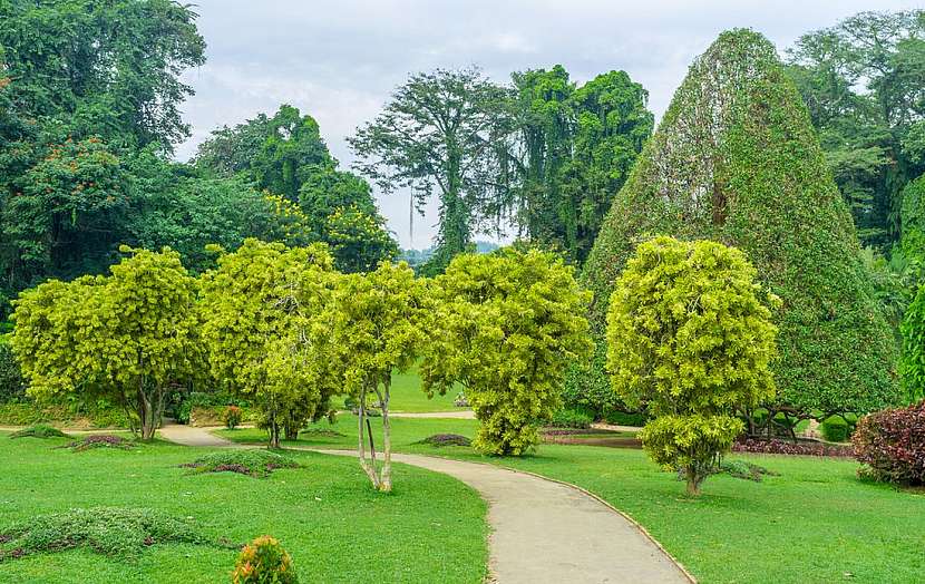 Botanická zahrada, která vám vezme dech – Paradeniya na Srí Lance