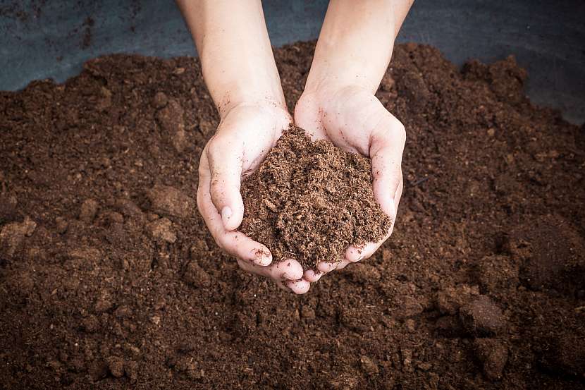 V říjnu nebo listopadu využijete kompost také při podzimním hnojení