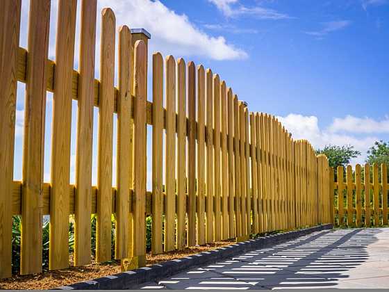 Dřevěné ploty