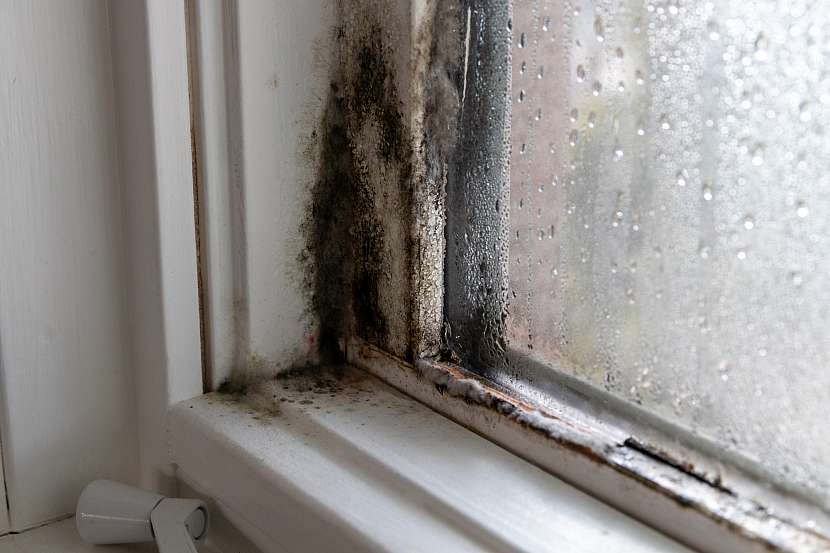 Plíseň na oknech se tvoří díky vysoké vlhkosti v interiéru