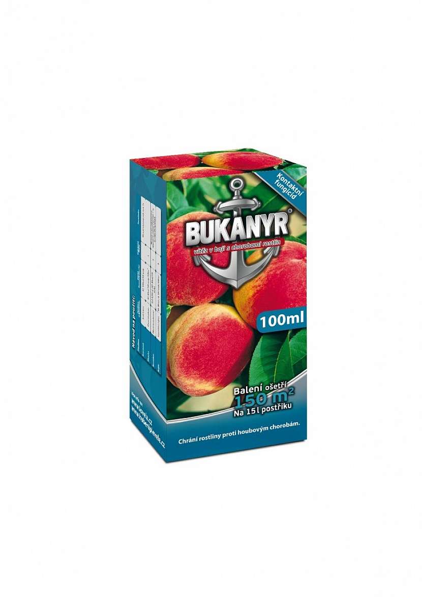 Plíseň na rajčatech