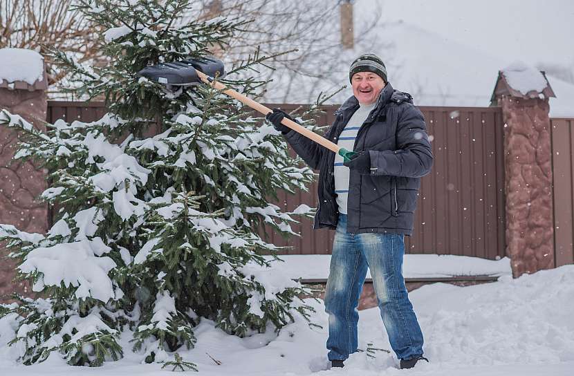 Sníh na stromech opatrně oklepejte