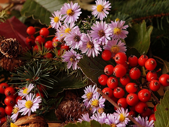 Plody jeřábu jsou plné zdraví a hodí se i jako dekorace (Zdroj: pixabay.com)