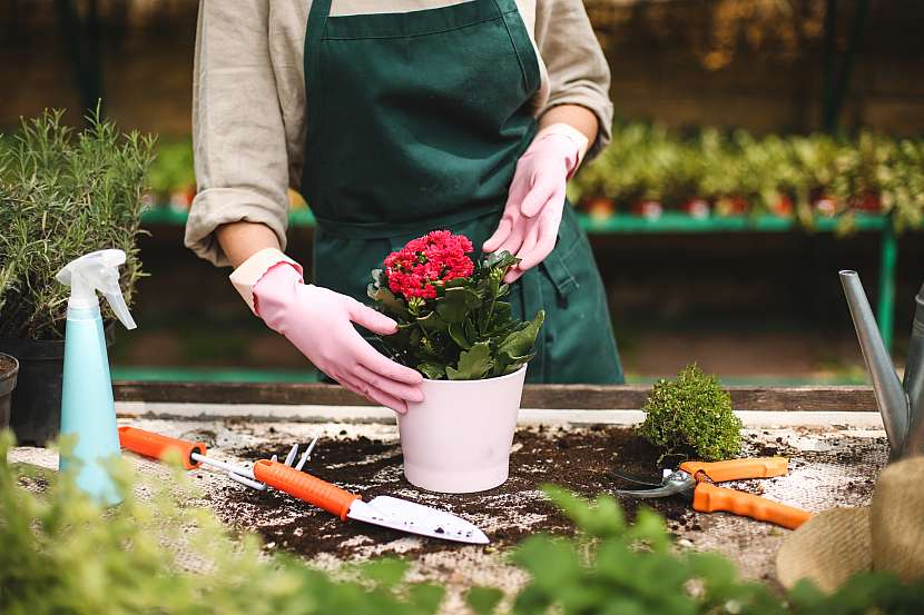 Ruční zahradnické nůžky a sázecí lopatku využijete nejen v zahradě, ale i třeba při přesazování rostlin v nádobách