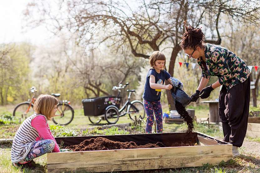 Komunitní zahrada vám umožní něco si vypěstovat, i když nemáte svou vlastní zahradu
