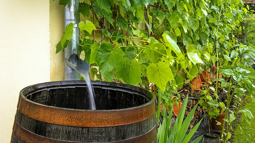 Nenechávejte odtékat dešťovou vodu jen tak: Můžete s ní zalévat zahradu, ale i splachovat záchod 1