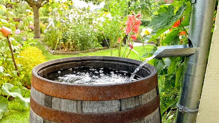 Předpověď počasí a zahrada: zalévejte odstátou vodou