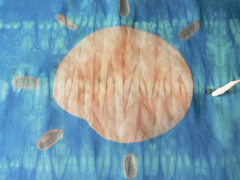 Látkové ubrousky – barvení batikou