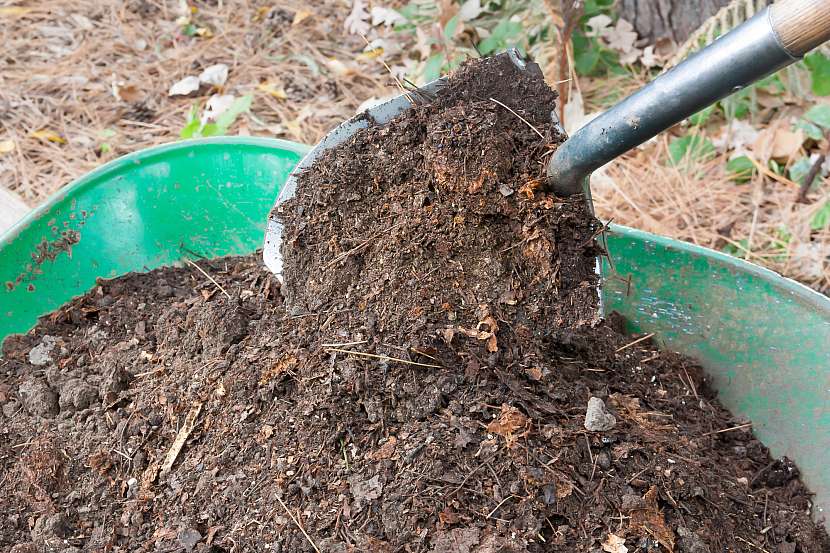 Hrubý neprosítovaný kompost je jedním z léků na těžší půdy