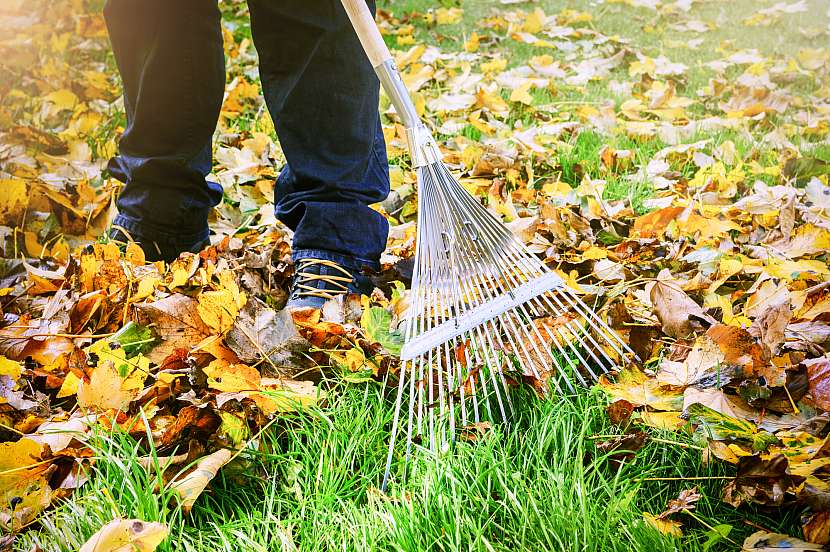 Odstraňte z trávníku spadané listí