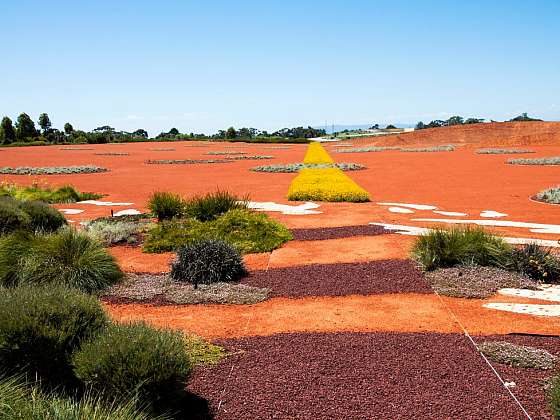 Cranbourne – Royal Botanic Garden aneb Když rozkvete australská pustina