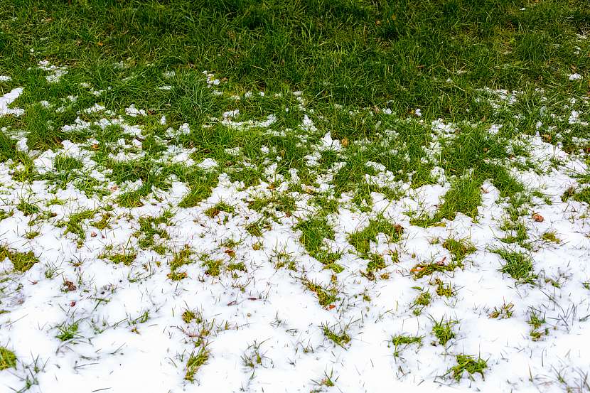 Dokud jsou na trávě zbytky sněhu, nezatěžujeme ji