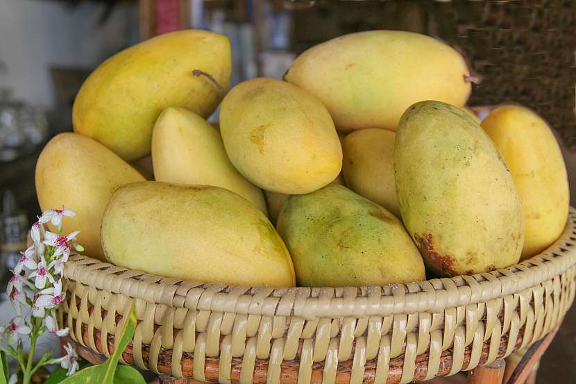 Vypěstujte si exotické ovoce i u nás, třeba žluté mango z Filipín (Zdroj: Depositphotos (https://cz.depositphotos.com))