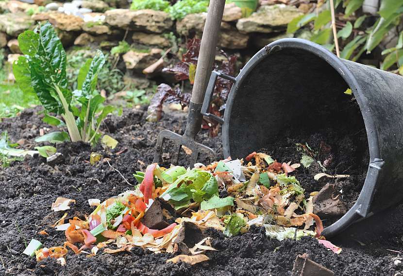 Po dozrání můžete hnojivo použít na své zahradě