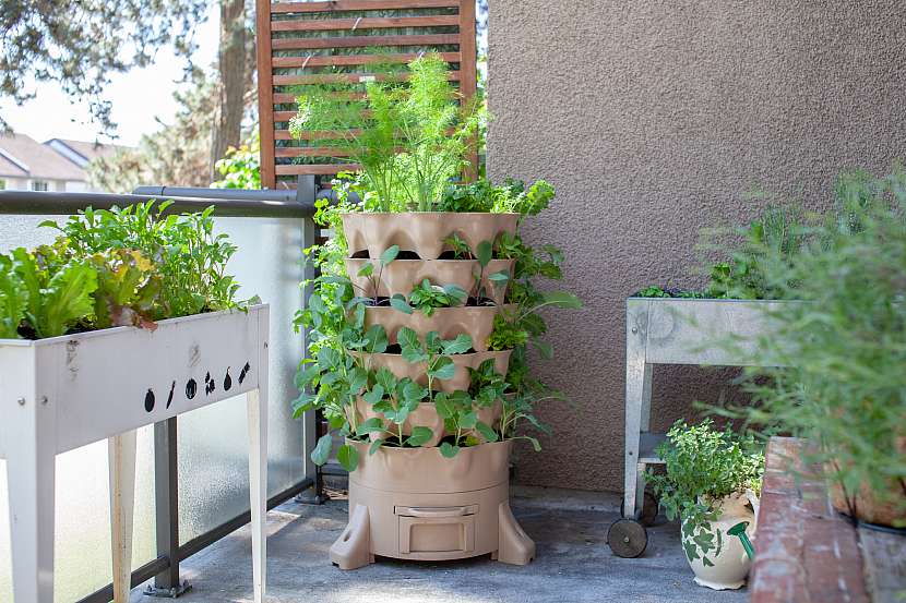 Na balkoně je spousta místa pro pěstování bylinek, okrasných rostlin, malých dřevin i drobného ovoce či zeleniny (Zdroj: Depositphotos (https://cz.depositphotos.com))