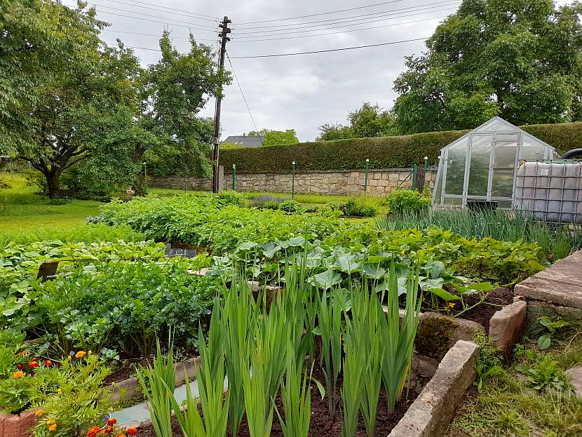 Zdravá zahrada je viditelná na první pohled, nejen zelenině se zde opravdu daří