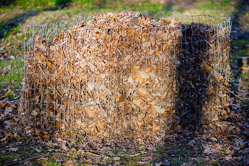 Využijte při pěstování na zahrádce rady našich babiček