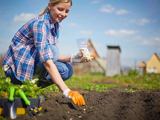 otevřít: Zahradníkovo jaro: Jak si usnadnit domácí pěstování zeleniny