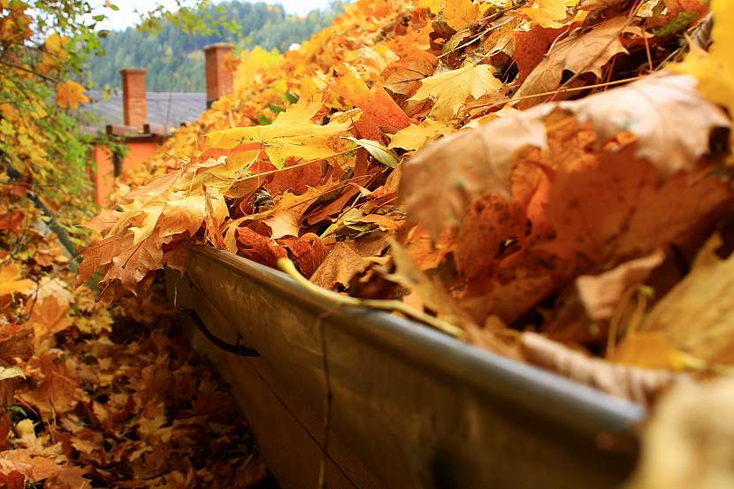 Každoroční podzimní úklid listí ze zahrady je pracná záležitost. Ulehčete si jí díky dobrým pomocníkům (Zdroj: Depositphotos (https://cz.depositphotos.com))
