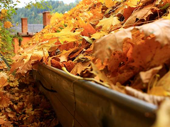 Každoroční podzimní úklid listí ze zahrady je pracná záležitost. Ulehčete si jí díky dobrým pomocníkům (Zdroj: Depositphotos (https://cz.depositphotos.com))
