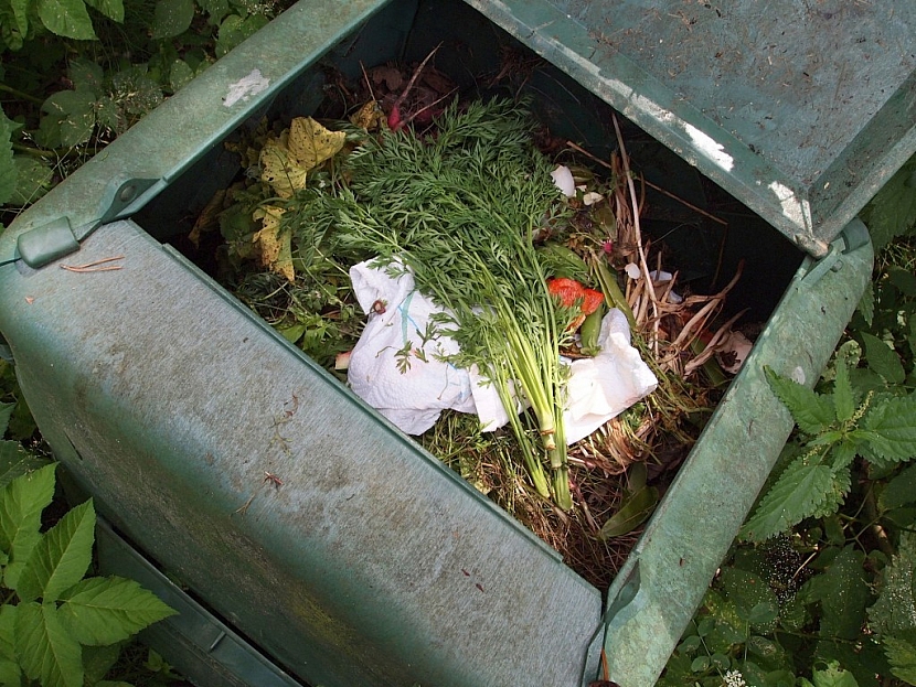 Kompost 