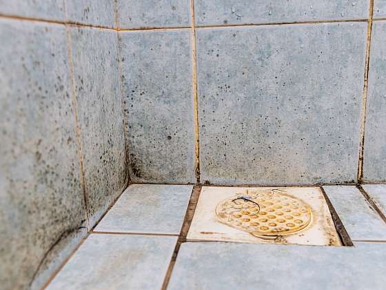 Jak vyřešit a zlikvidovat plísně ve sprchovém koutu? (Zdroj: Depositphotos (https://cz.depositphotos.com))