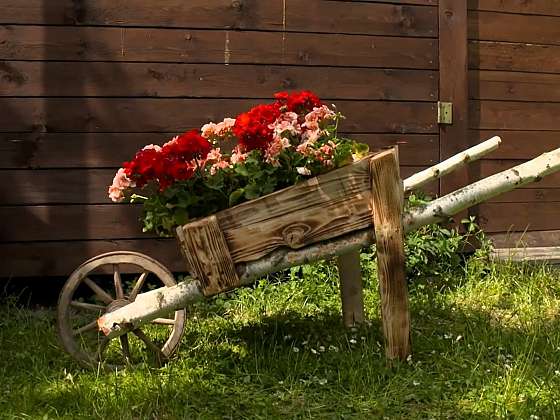 Květináč z dřevěného kola zkrášlí vaši zahradu (Zdroj: Prima DOMA MEDIA, s.r.o.)