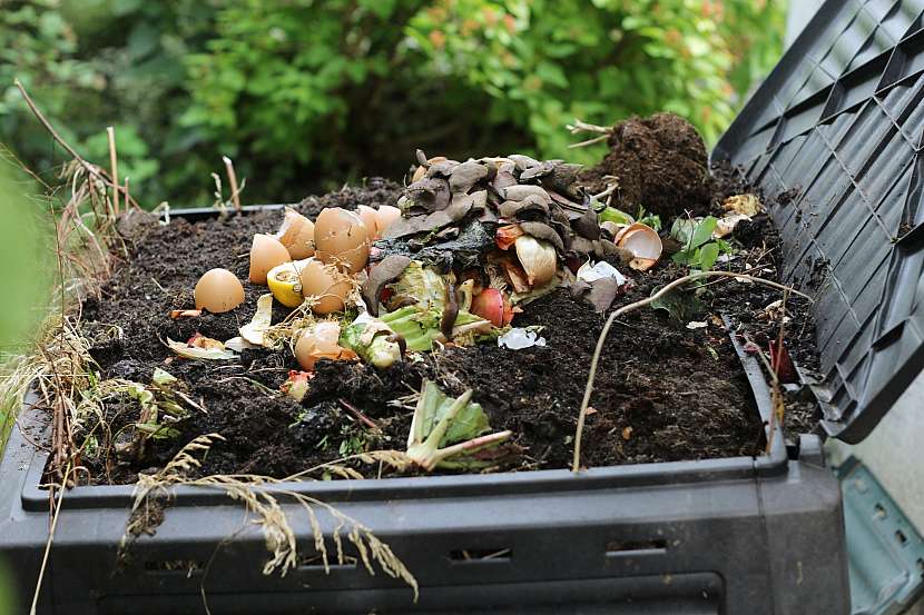 Do kompostu se nebojte vložit i vaječné skořápky, jsou bohatým zdrojem vápníku