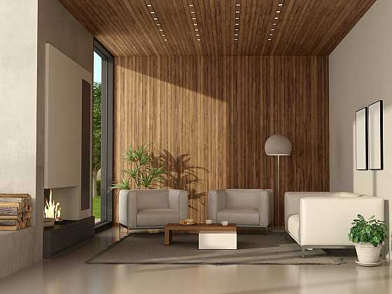 Použitím nástěnných a stropních panelů změníte vzhled místnosti (Zdroj: Depositphotos)