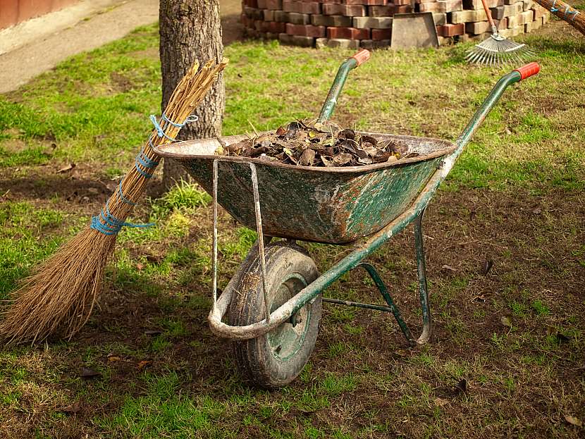 Listopad je ideální dobou pro dokončení prací na zahradě (Zdroj: Depositphotos (https://cz.depositphotos.com))