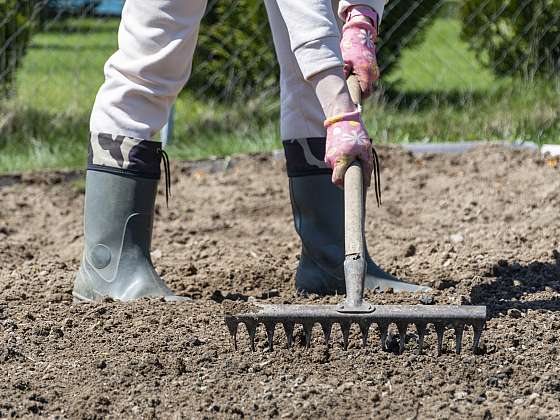 Příprava půdy kypřením hráběmi je efektivní na malých plochách (Zdroj: Depositphotos (https://cz.depositphotos.com))