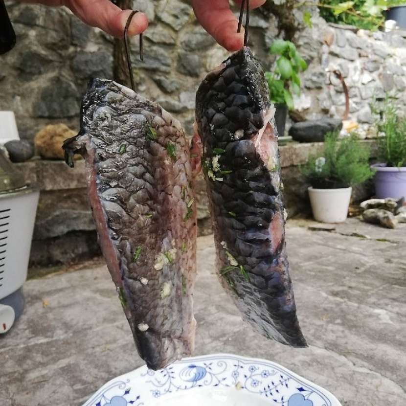 Nasolené ryby