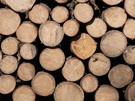 Přípravu dřeva na zimu není dobré podceňovat