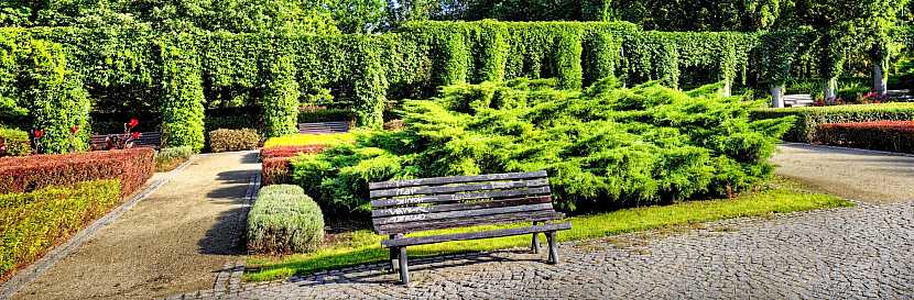 Vhodná kombinace zeleně vytvoří dokonalé soukromí nejen v zahradě (Zdroj: Depositphotos)