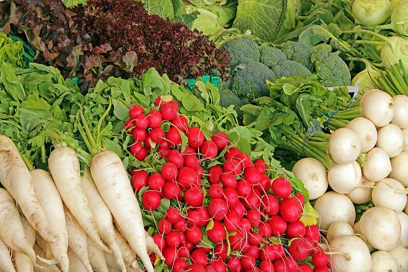 Mezi druhy zeleniny, které se vysévají v červnu, patří i ředkvičky, saláty nebo bílé ředkve (Zdroj: Depositphotos (https://cz.depositphotos.com)