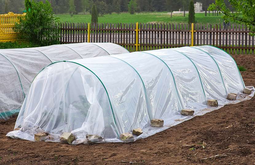 Díky fóliovému tunelu pěstujte zeleninu už od března